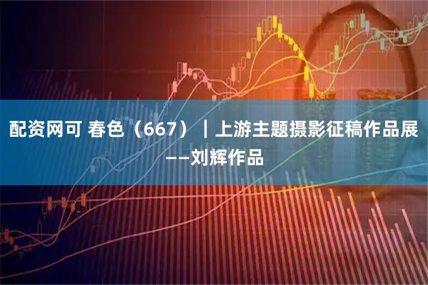 配资网可 春色（667）｜上游主题摄影征稿作品展——刘辉作品