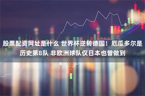 股票配资网址是什么 世界杯逆转德国！厄瓜多尔是历史第8队 非欧洲球队仅日本也曾做到